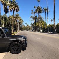 Отзыв от Даниил - DTV виза